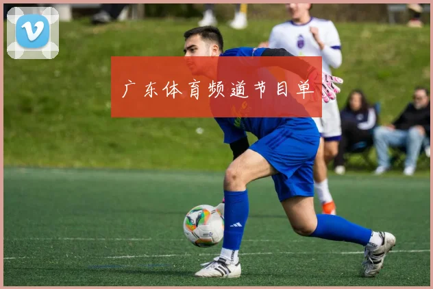 广东体育频道节目单