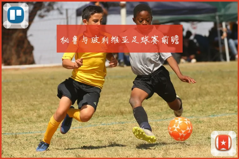 秘鲁与玻利维亚足球赛前瞻