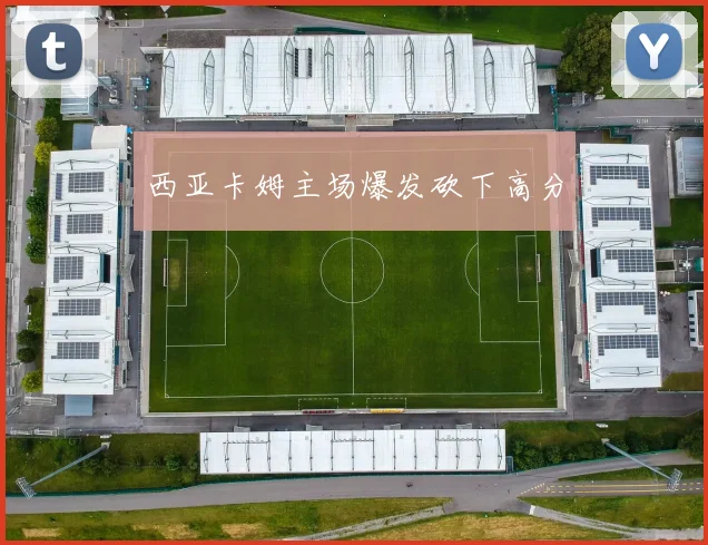 西亚卡姆主场爆发砍下高分