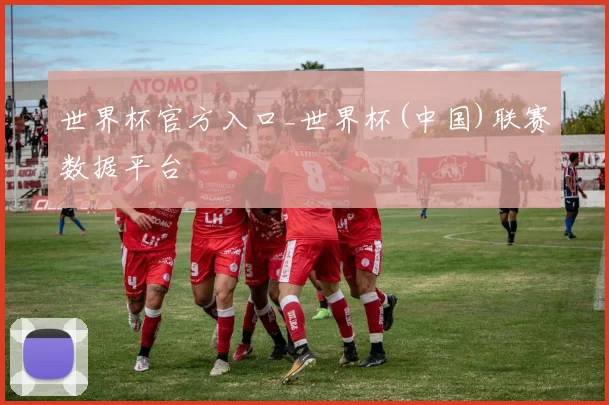 世界杯官方入口_世界杯(中国)联赛数据平台