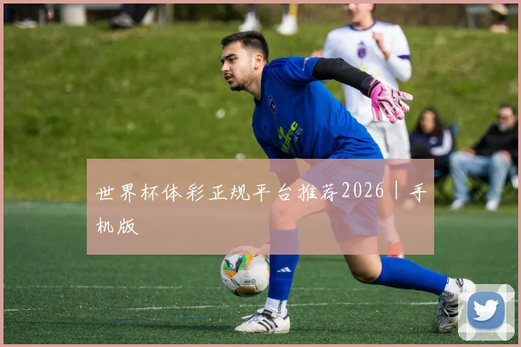 世界杯体彩正规平台推荐2026｜手机版