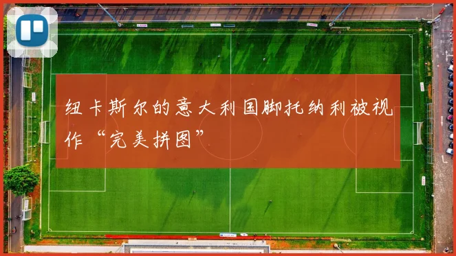 纽卡斯尔的意大利国脚托纳利被视作“完美拼图”