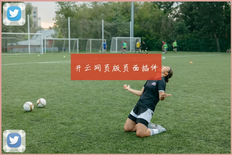 开云网页版页面插件
