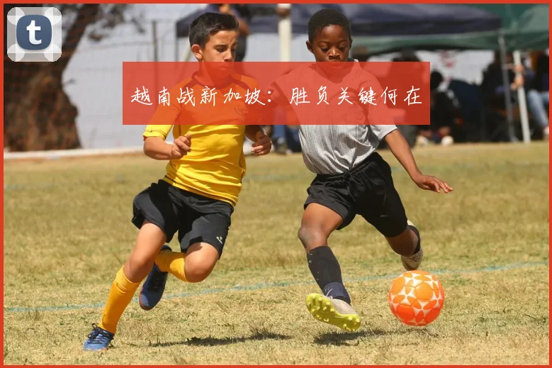 越南战新加坡：胜负关键何在