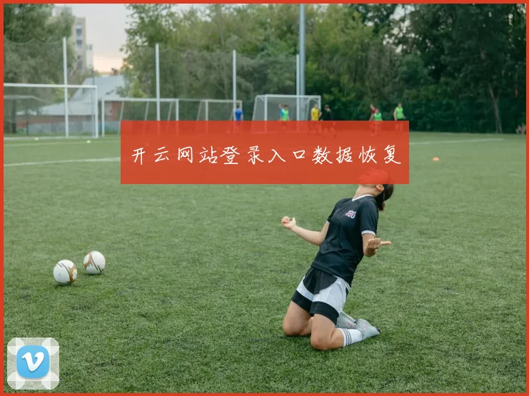 开云网站登录入口数据恢复