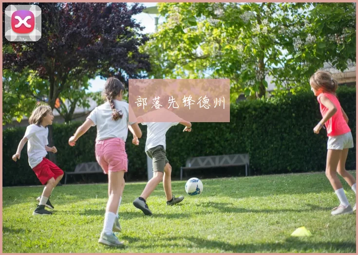 部落先锋德州
