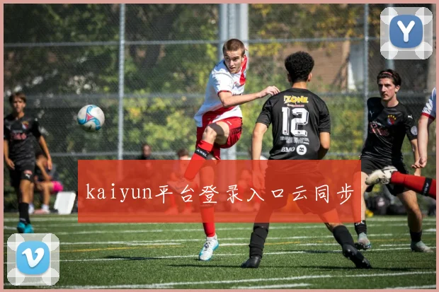kaiyun平台登录入口云同步