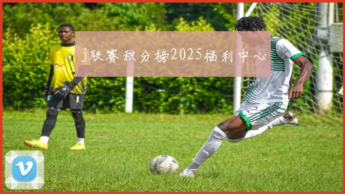 j联赛积分榜2025福利中心