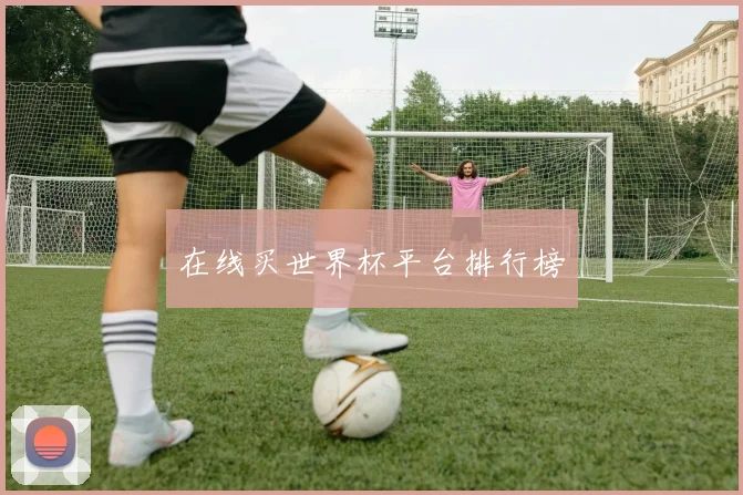 在线买世界杯平台排行榜