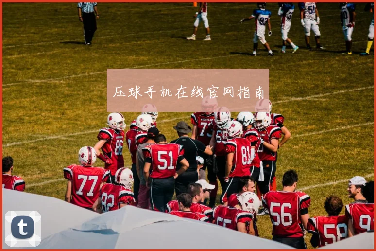 压球手机在线官网指南