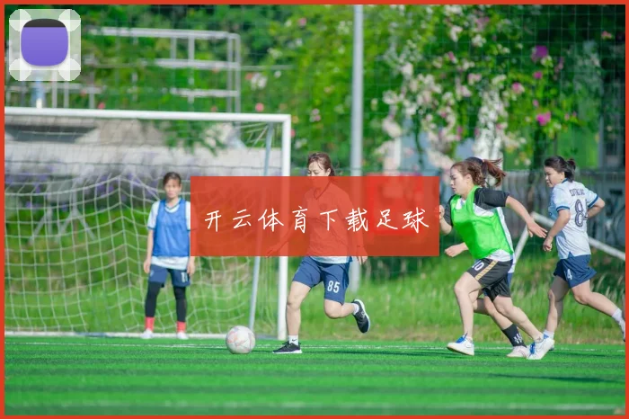 开云体育下载足球