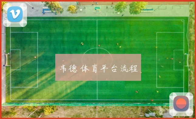 韦德 体育平台流程