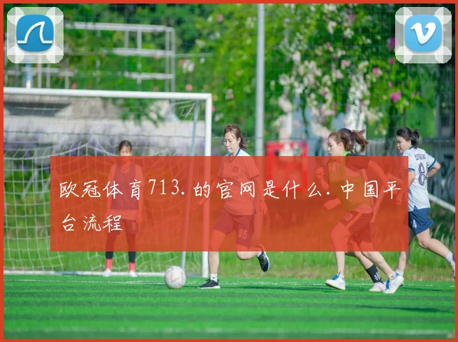 欧冠体育713.的官网是什么.中国平台流程