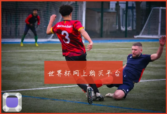 世界杯网上购买平台