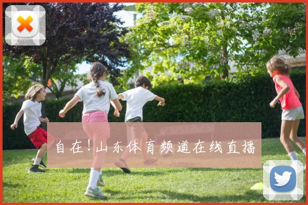 自在!山东体育频道在线直播