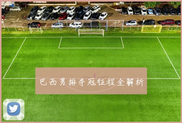巴西男排夺冠征程全解析