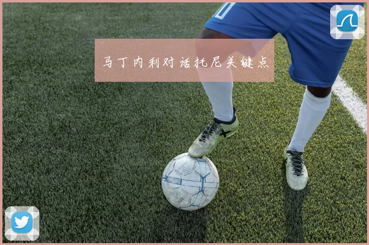 马丁内利对话托尼关键点