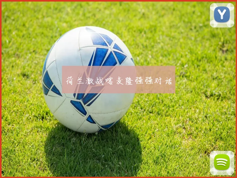 荷兰激战喀麦隆强强对话