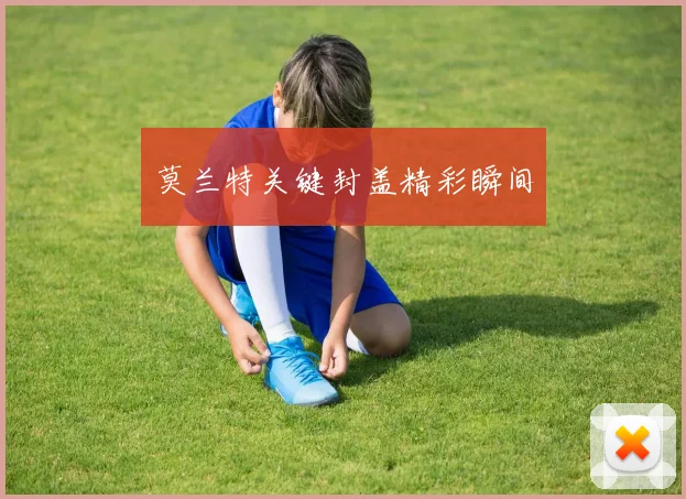 莫兰特关键封盖精彩瞬间