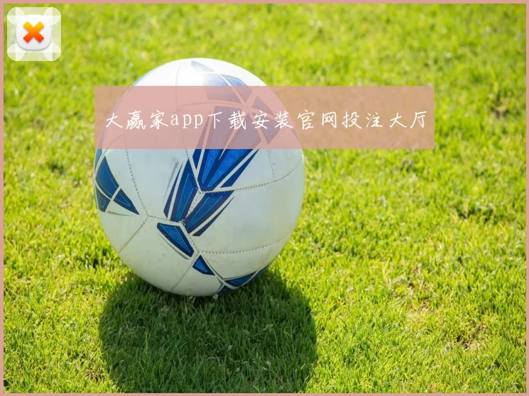 大赢家app下载安装官网投注大厅