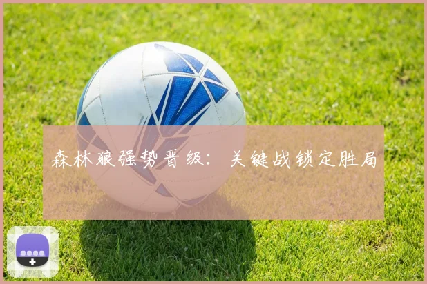 森林狼强势晋级：关键战锁定胜局