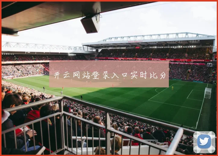 开云网站登录入口实时比分