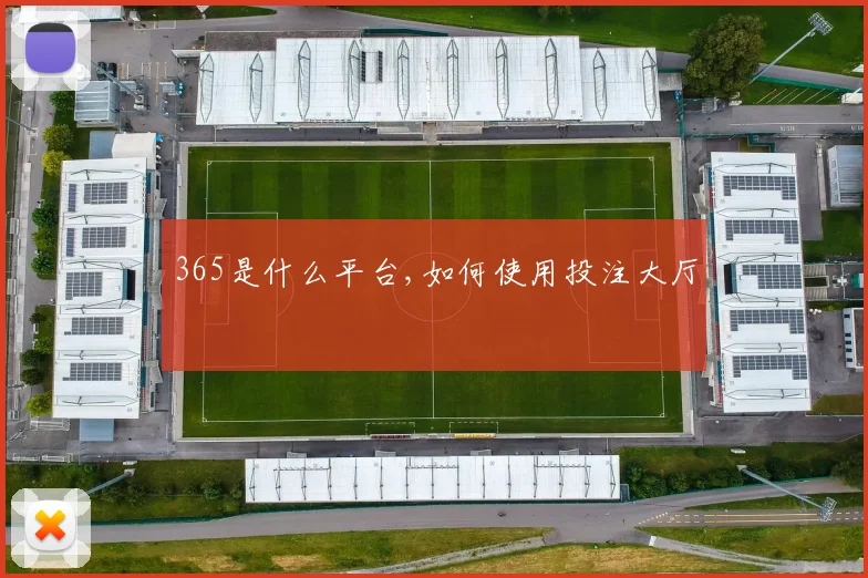 365是什么平台,如何使用投注大厅