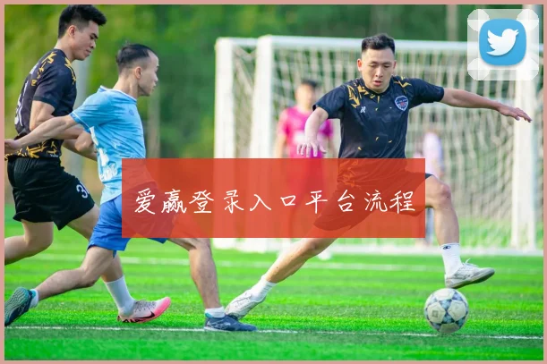 爱赢登录入口平台流程