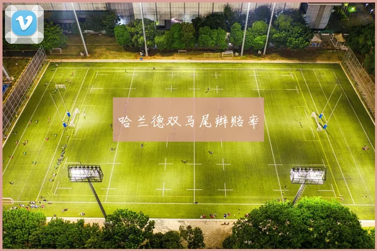 哈兰德双马尾辫赔率