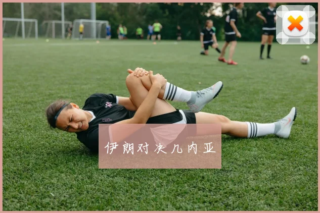 伊朗对决几内亚