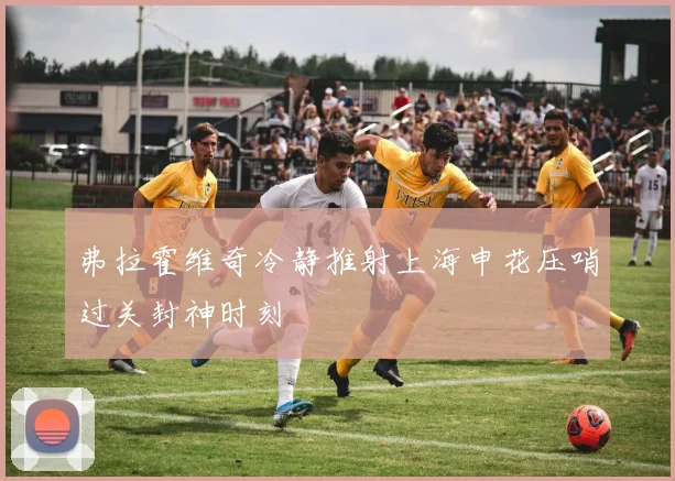 弗拉霍维奇冷静推射上海申花压哨过关封神时刻