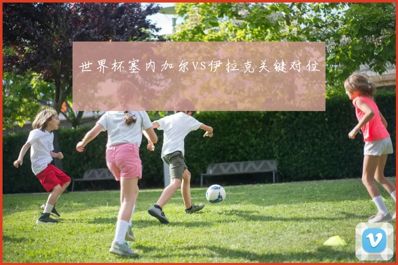 世界杯塞内加尔vs伊拉克关键对位