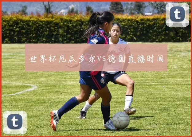 世界杯厄瓜多尔vs德国直播时间
