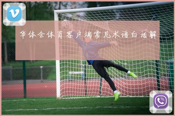 华体会体育客户端常见术语白话解